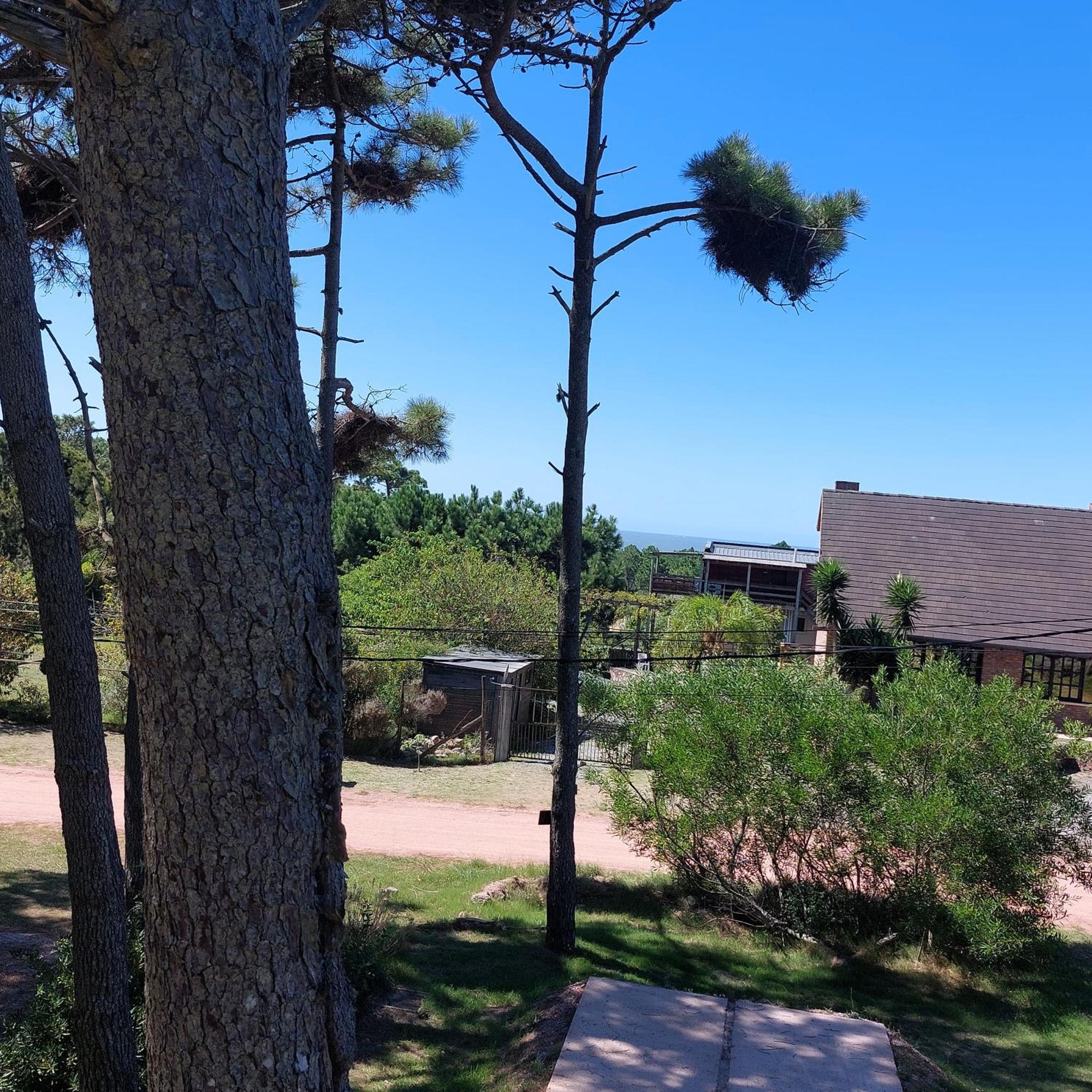 Casa Amarilla Con Jacuzzi Βίλα Punta Del Diablo Εξωτερικό φωτογραφία