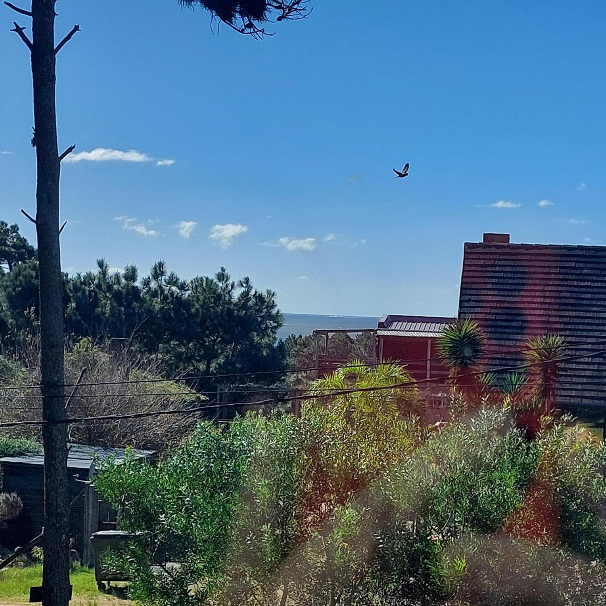 Casa Amarilla Con Jacuzzi Βίλα Punta Del Diablo Εξωτερικό φωτογραφία